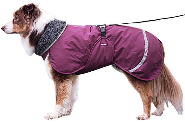 Big dog winter coats retailer